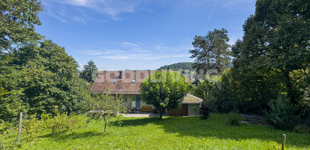 img-gallery
