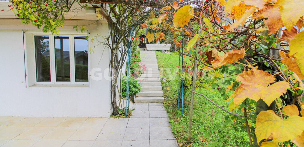 img-gallery