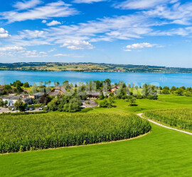 Cover Photo